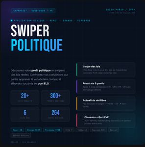 Swiper politique